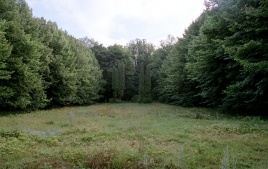 Užtrakio dvaro parkas. Šarūno Barto nuotrauka Užtrakio dvaro parkas. Šarūno Barto nuotrauka